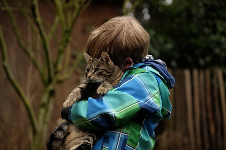 Building Trust and Resilience: The Key Ingredients to a Successful Parent-Child Relationship