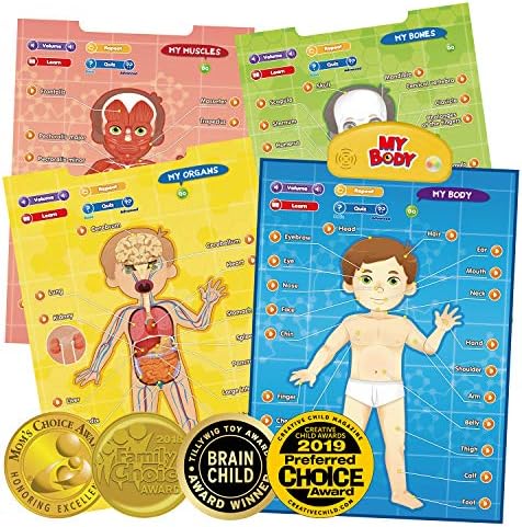 BEST LEARNING i-Poster My Body – Interactive Educational Human Anatomy Talking Game Toy | Learn Body Parts, Organs, Muscles and Bones for Kids Aged 5 to 12 Years Old