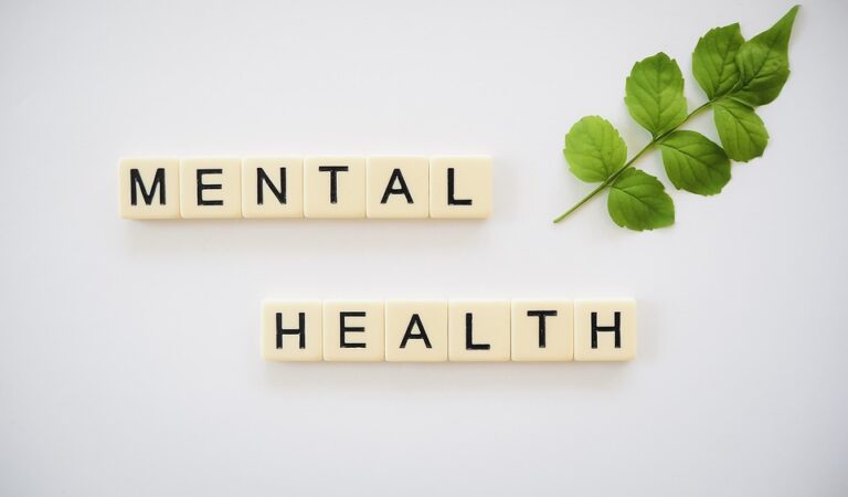 Mental Health Matters: Strategies for Supporting Pregnancy Mental Health