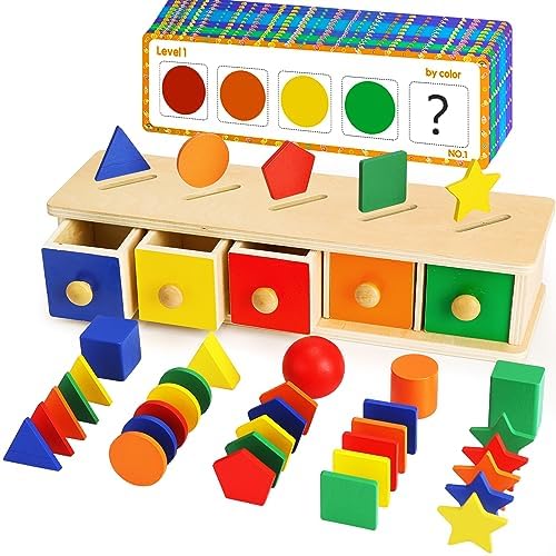 Montessori Toys Wooden Color & Shape Sorter Toys for Toddlers 1-3 Matching Box Sorting Blocks Manipulatives Preschool Learning Activities Educational Toys for 1 2 3 4 Year Old Boy Girl Kid Gifts