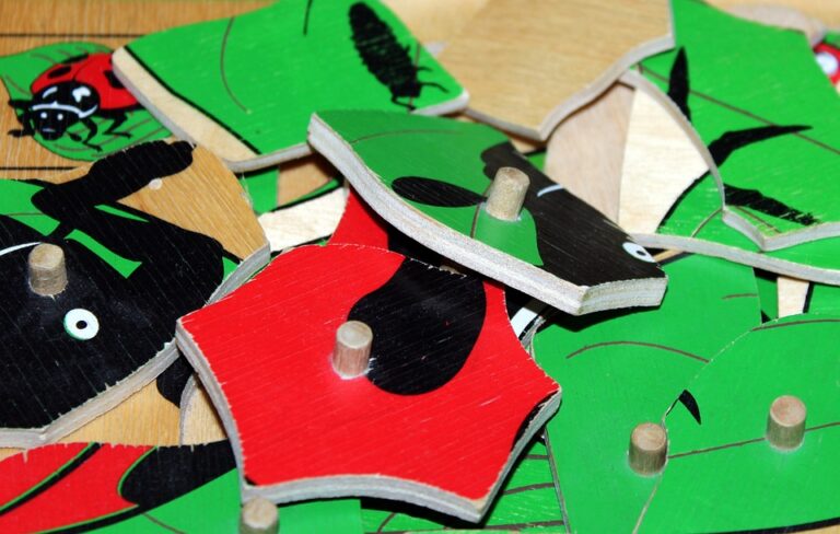 From Sensorial Development to Critical Thinking: How Montessori Materials Foster Learning