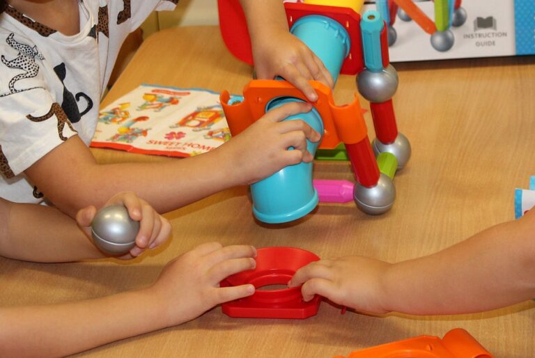 STEM Toys: Shaping Tomorrow’s Innovators by Combining Education and Fun