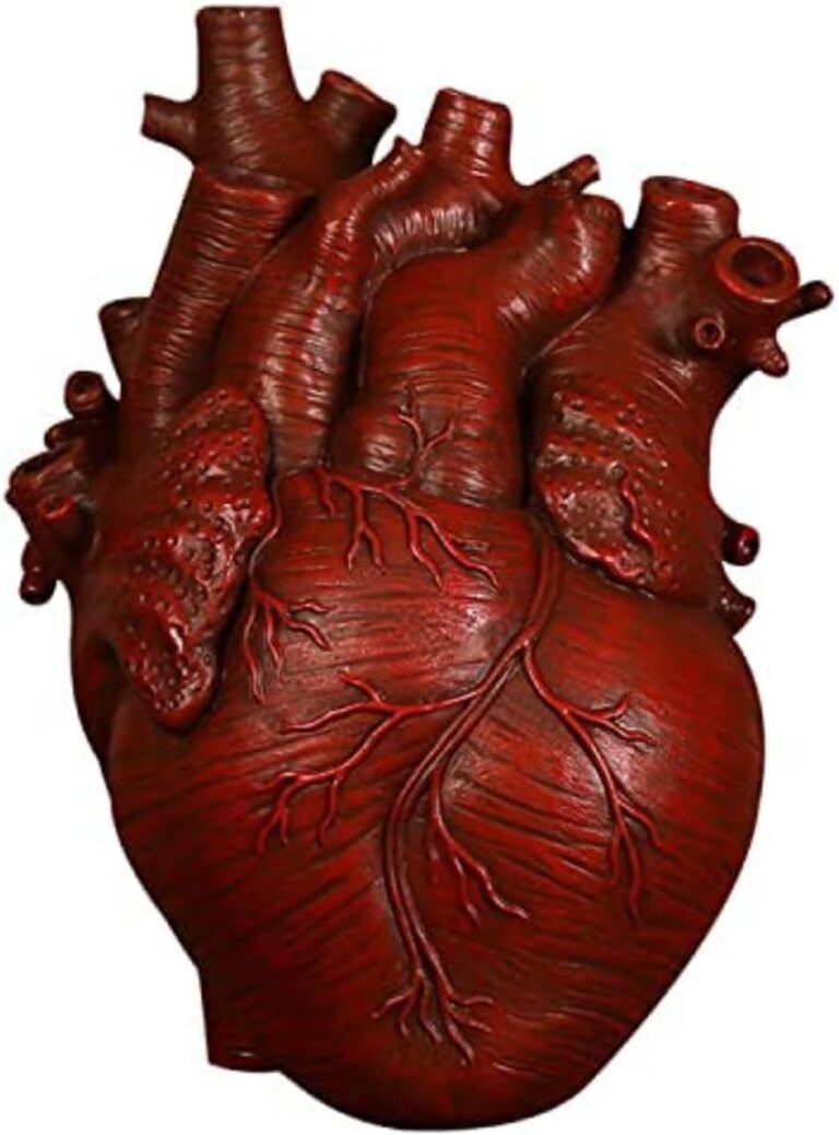 Resin Vase Planter, Decorative Heart Vase – Anatomical Heart Tabletop Decorative Craft, Farmhouse Living Room Bedroom Countertop (Red,Small)