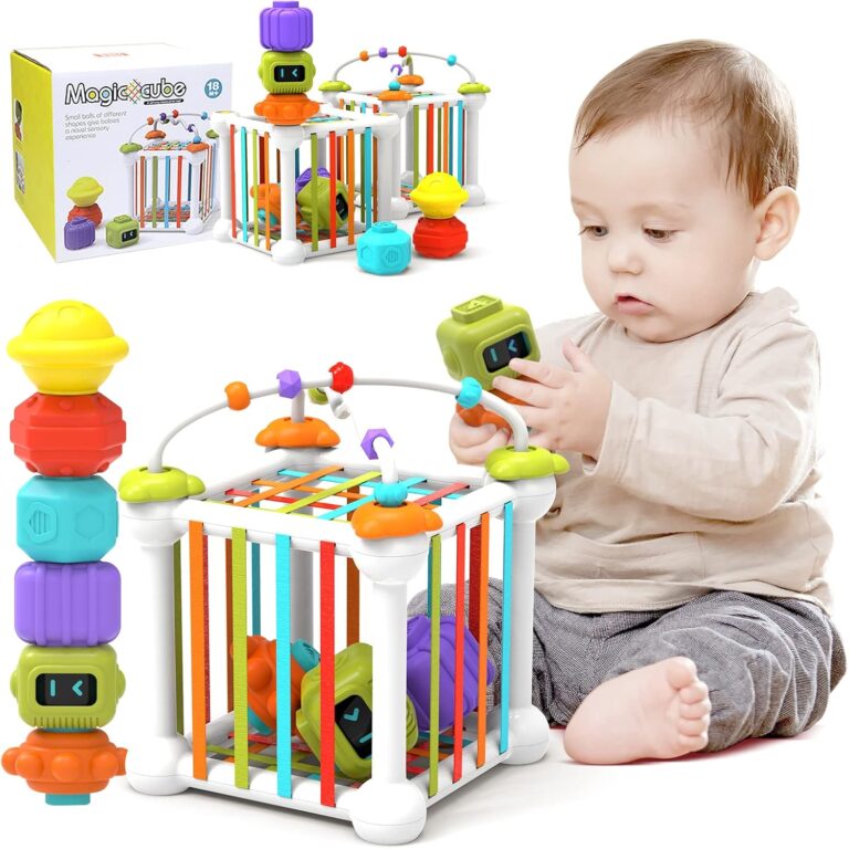 Baby Sensory Bin Shape Sorter Toy for 1 Year Old, Sensory Stacking Toys for Babies 6-12 Months, Toddlers Fine Motor Skills Montessori Developmental Toys Age 1-2-3-4